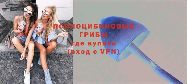 СК Богданович