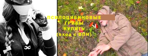 СК Богданович