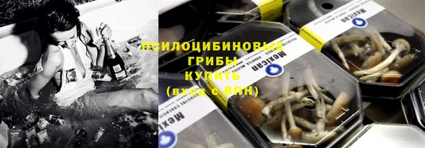 СК Богданович