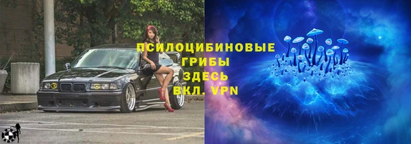 марки lsd Бородино