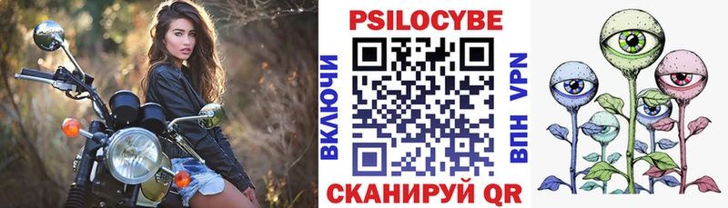 Галлюциногенные грибы Psilocybine cubensis  Щигры 